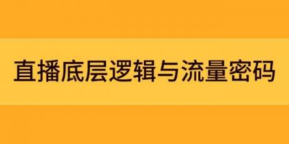直播底层逻辑与流量密码：定位模型+案例拆解，急速流承接与数据优化全攻略-颜夕资源网-第13张图片