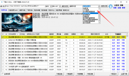 闪豆视频下载器2026.07.29 B站4K视频下载 各大平台视频下载
