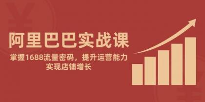 阿里巴巴实战课：掌握1688流量密码，提升运营能力，实现店铺增长-颜夕资源网-第13张图片