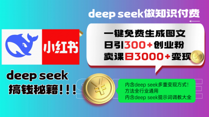 Deepseek 一键免费生成小红书图文日引300+创业粉，日变现3000+ 方法全行业通用-颜夕资源网-第13张图片