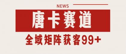 唐卡赛道私域引流获客 自热矩阵SOP日引流99+精准客资-颜夕资源网-第20张图片