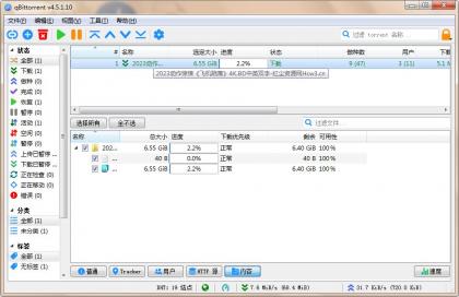 qBittorrent(强大的BT下载工具)v5.1.0.10中文绿色增强版-颜夕资源网-第13张图片