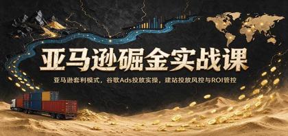亚马逊掘金实战课:亚马逊套利模式,谷歌Ads投放实操,建站投放风控与ROI管控-颜夕资源网-第23张图片 亚马逊掘金实战课:亚马逊套利模式,谷歌Ads投放实操,建站投放风控与ROI管控