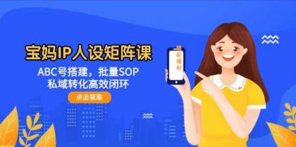 宝妈IP人设矩阵课：ABC号搭建，批量SOP，私域转化高效闭环-颜夕资源网-第13张图片