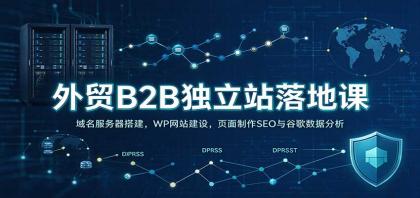 外贸B2B独立站落地课:域名服务器搭建,WP网站建设,页面制作SEO与谷歌数据分析-颜夕资源网-第24张图片 外贸B2B独立站落地课:域名服务器搭建,WP网站建设,页面制作SEO与谷歌数据分析