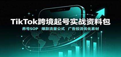 TikTok跨境起号实战资料包:养号SOP,爆款流量公式,广告投流优化素材-颜夕资源网-第16张图片 TikTok跨境起号实战资料包:养号SOP,爆款流量公式,广告投流优化素材