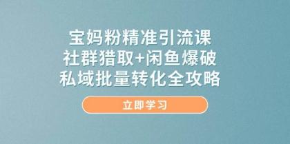 宝妈粉精准引流课，社群猎取+闲鱼爆破，私域批量转化全攻略-颜夕资源网-第13张图片