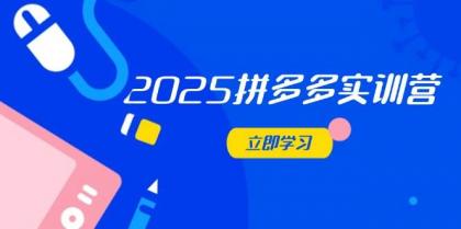 2025拼多多平台实践营：深入剖析经营重要，助推电商人快速升级-颜夕资源网-第13张图片